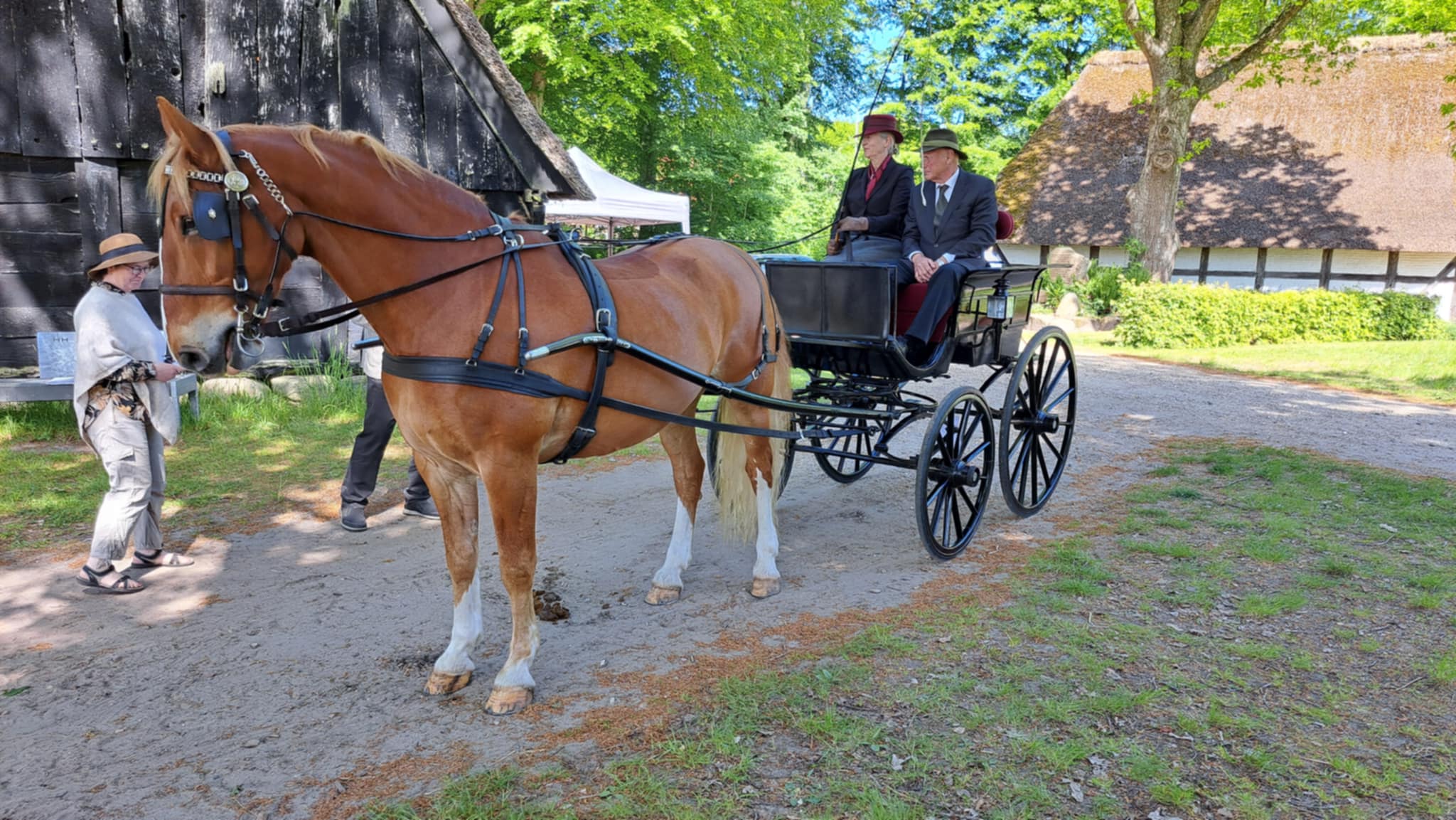 Traditionelt stævne på Hjerl Hede