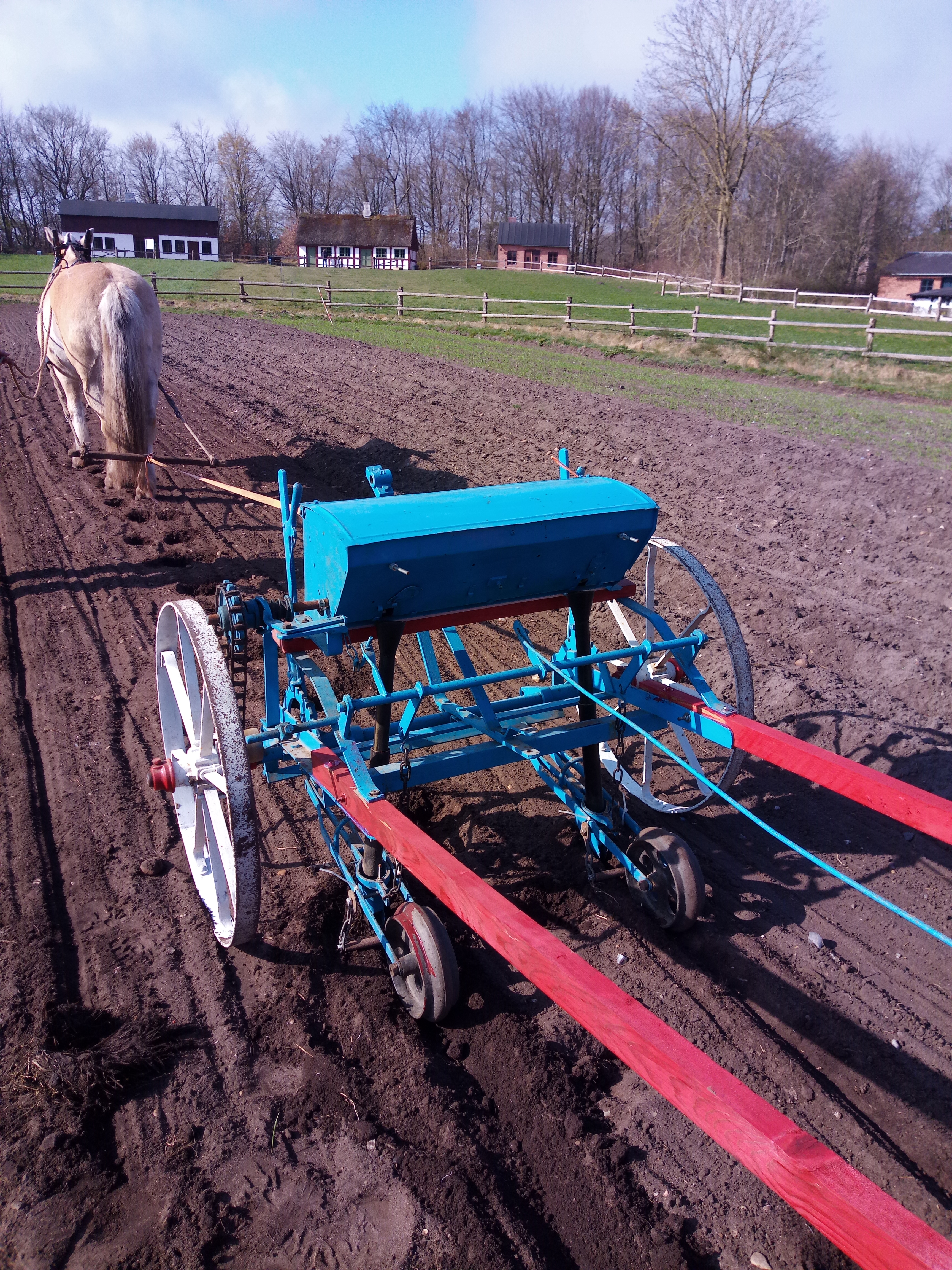 P_20250410_103248.jpg