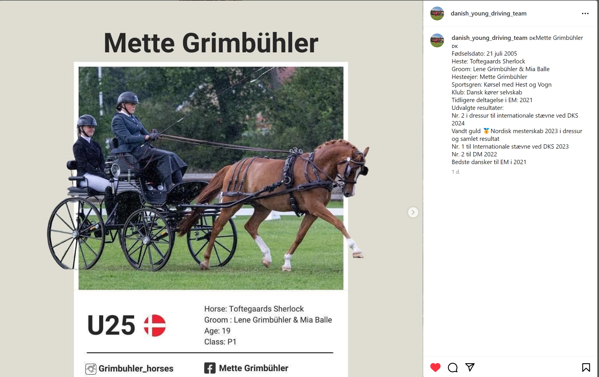 MetteGrimbuhler.jpg